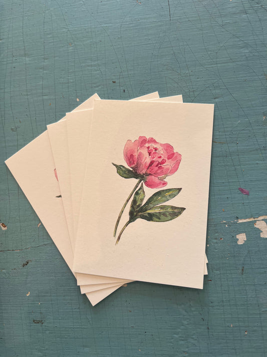 Kaart- Roze pioenroos